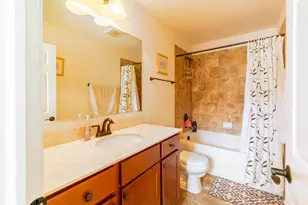 16134 W Coneflower Dr, Lockport, IL 60441 - Photo 15