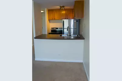 1221 N Dearborn Parkway #411S, Chicago, IL 60610 - Photo 3