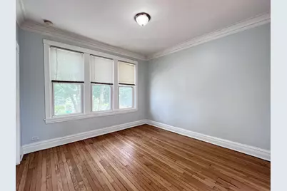 8856 S Lowe Avenue #2F, Chicago, IL 60620 - Photo 13