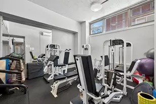 1550 N Lake Shore Dr, Chicago, IL 60610 - Photo 31
