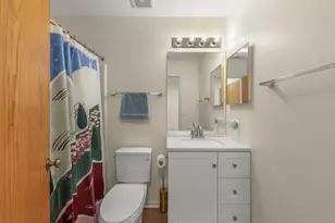 2703 Snowmass Ct, Plainfield, IL 60586 - Photo 19