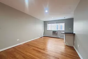 541 W Oakdale Ave, Chicago, IL 60657 - Photo 3