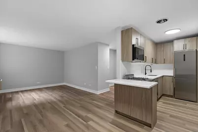 541 W Oakdale Avenue #221, Chicago, IL 60657 - Photo 3