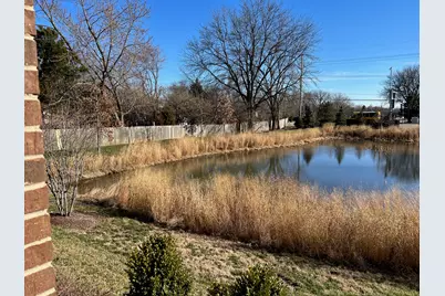 4275 Fiona Lane, Lisle, IL 60532 - Photo 53