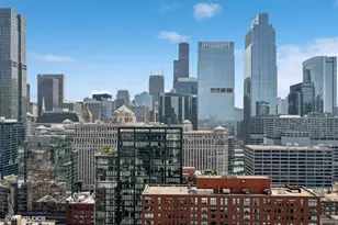 303 W Ohio St, Chicago, IL 60610 - Photo 19