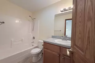 1565 E Patmore St, Diamond, IL 60416 - Photo 27