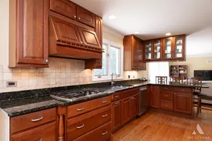 22 Essex Ln, Lincolnshire, IL 60069 - Photo 13