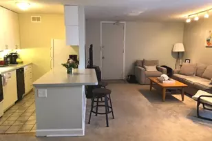 1339 N Dearborn St, Chicago, IL 60610 - Photo 9