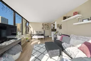 345 E Eastgate Pl, Chicago, IL 60616 - Photo 5