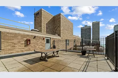 40 E Cedar Street #18A, Chicago, IL 60611 - Photo 23
