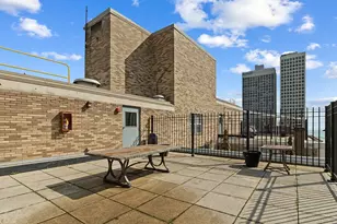 40 E Cedar St, Chicago, IL 60611 - Photo 23