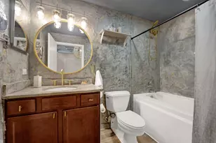 1033 W 14th Pl, Chicago, IL 60608 - Photo 15