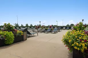155 N Harbor Dr, Chicago, IL 60601 - Photo 21