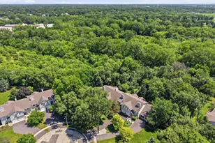 4156 Caribou Ct, Joliet, IL 60431 - Photo 33