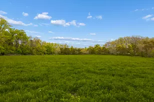 931 E Steger Rd, Steger, IL 60475 - Photo 9