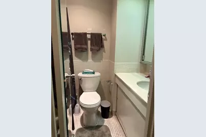 260 E Chestnut Street #1106, Chicago, IL 60611 - Photo 5