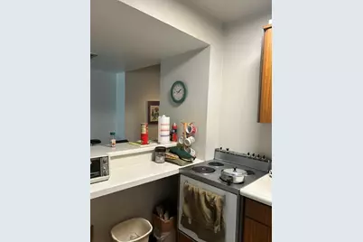 260 E Chestnut Street #1106, Chicago, IL 60611 - Photo 9