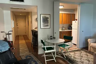 260 E Chestnut St, Chicago, IL 60611 - Photo 3