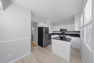 1038 Susan Collin Lane, Oak Park, IL 60302 - Photo 11