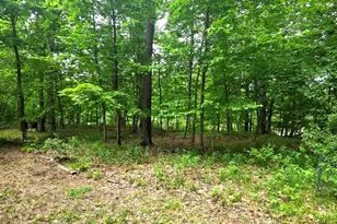 287 Lake Thunderbird Dr, Putnam, IL 61560 - Photo 27