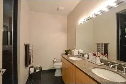 700 N Larrabee Street #2013, Chicago, IL 60654 - Photo 11