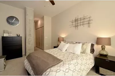 700 N Larrabee Street #2013, Chicago, IL 60654 - Photo 9