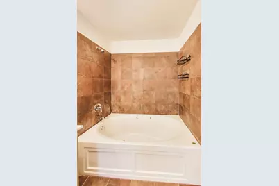 1720 S Michigan Avenue #902, Chicago, IL 60616 - Photo 13