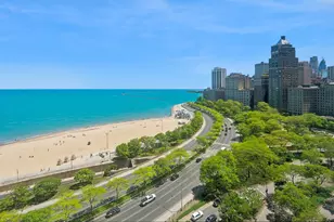 1100 N Lake Shore Dr, Chicago, IL 60611 - Photo 25