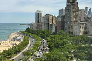 1100 N Lake Shore Dr, Chicago, IL 60611 - Photo 29