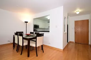 211 E Ohio St, Chicago, IL 60611 - Photo 7