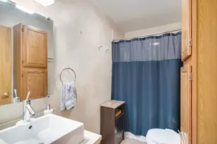 425 S Oak Park Ave, Oak Park, IL 60302 - Photo 15
