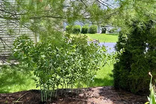 755 Warwick Ct, Lake Zurich, IL 60047 - Photo 43