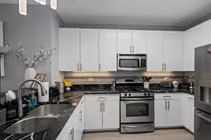 757 N Orleans St, Chicago, IL 60654 - Photo 7