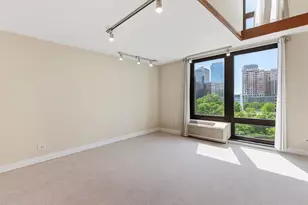 1221 N Dearborn St, Chicago, IL 60610 - Photo 3