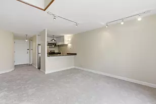 1221 N Dearborn St, Chicago, IL 60610 - Photo 5