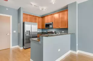 1901 S Calumet Ave, Chicago, IL 60616 - Photo 5