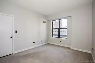41 E 8th St, Chicago, IL 60605 - Photo 9
