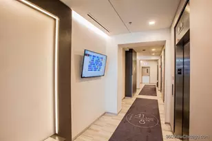 41 E 8th St, Chicago, IL 60605 - Photo 17
