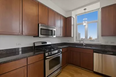 1134 W Granville Avenue #1003, Chicago, IL 60660 - Photo 5
