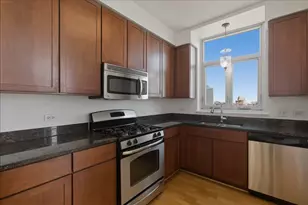 1134 W Granville Ave, Chicago, IL 60660 - Photo 5