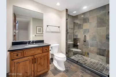 431 Woodland Park Court, Hinsdale, IL 60521 - Photo 47