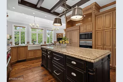 431 Woodland Park Court, Hinsdale, IL 60521 - Photo 25