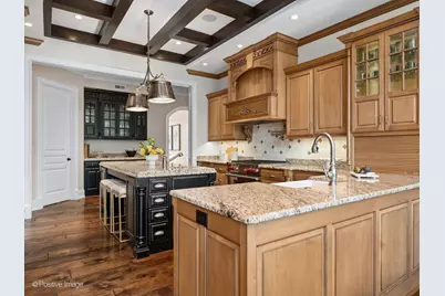 431 Woodland Park Court, Hinsdale, IL 60521 - Photo 23