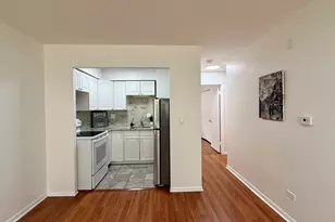 327 Wisconsin Ave, Oak Park, IL 60302 - Photo 7