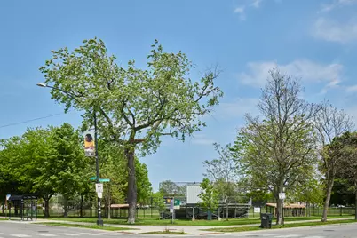 433-35 E 91st Place, Chicago, IL 60619 - Photo 51