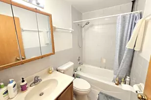 2604 S Emerald Ave, Chicago, IL 60616 - Photo 13
