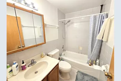 2604 S Emerald Avenue #C, Chicago, IL 60616 - Photo 11