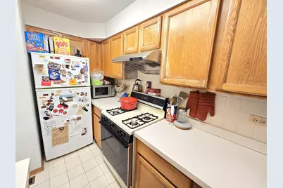 2604 S Emerald Avenue #C, Chicago, IL 60616 - Photo 7