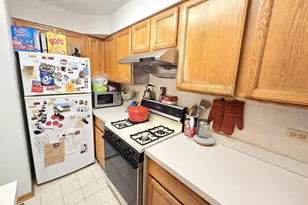 2604 S Emerald Ave, Chicago, IL 60616 - Photo 5