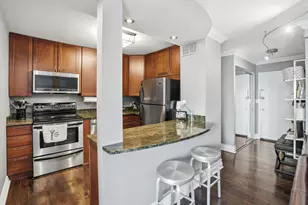 1455 N Sandburg Terrace, Chicago, IL 60610 - Photo 11